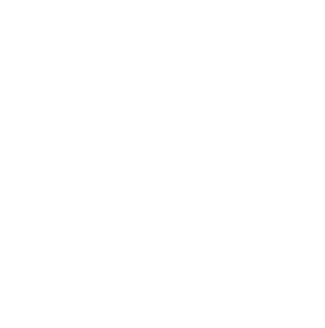 Camping's white icon
